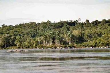 foto tratta da amazon-travel-brazil.com