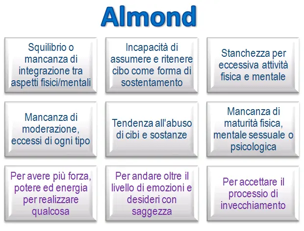 Schema riassuntivo dell'essenza