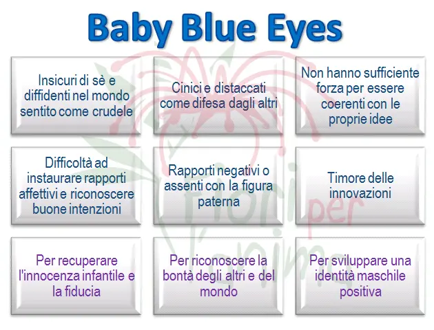 Schema riassuntivo dell'essenza