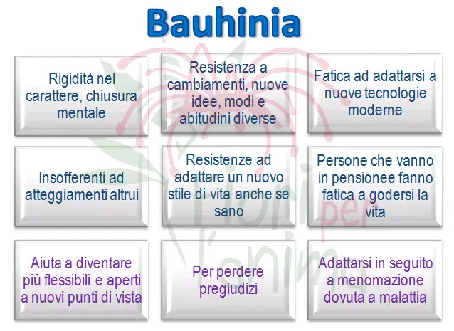 Schema riassuntivo dell'essenza