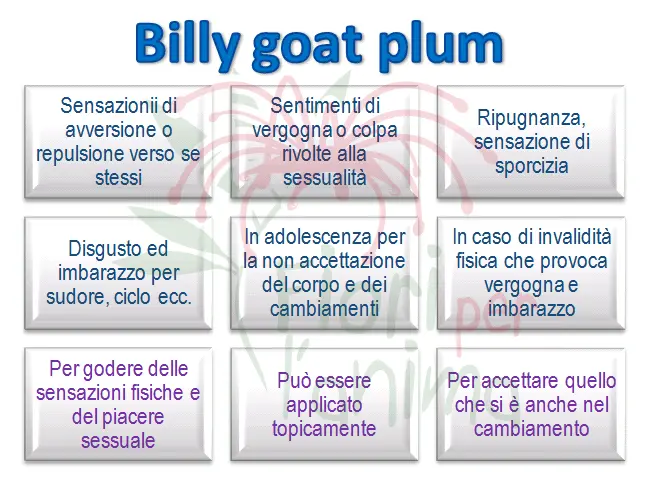 Schema riassuntivo dell'essenza