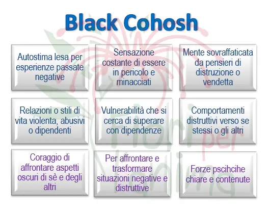 Black Cohosh Schema riassuntivo dell'essenza