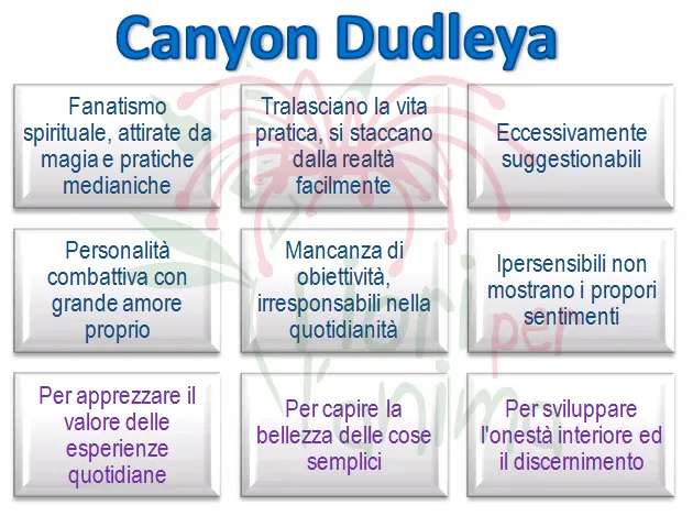 Schema riassuntivo dell'essenza