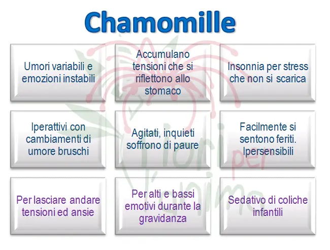 Schema riassuntivo dell'essenza
