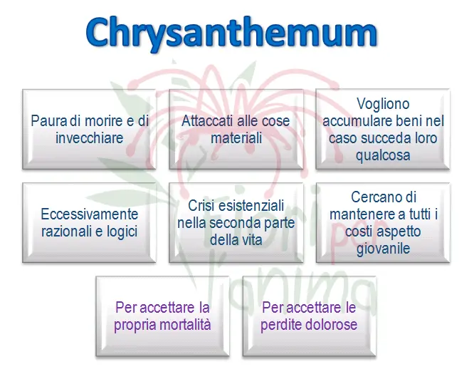 Schema riassuntivo dell'essenza