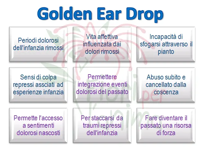 Golden Ear Drop Schema riassuntivo dell'essenza