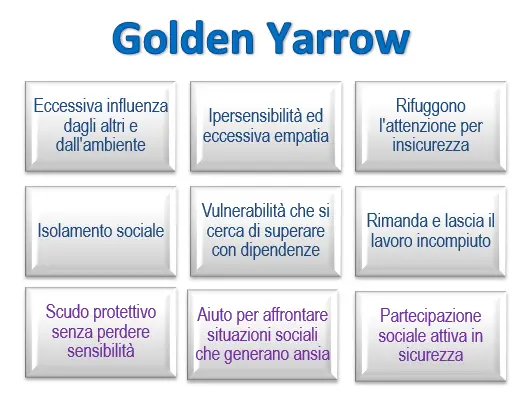 Golden Yarrow Schema riassuntivo dell'essenza