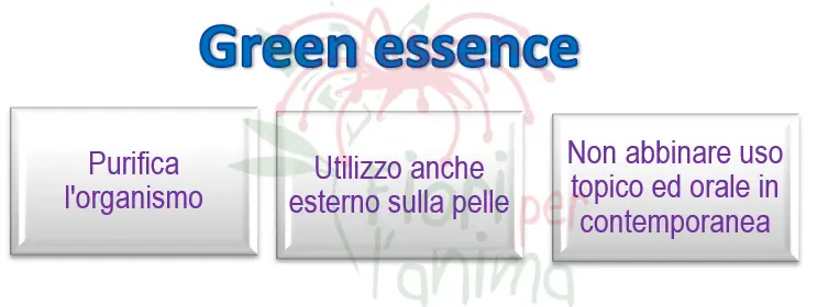 Green essence Schema riassuntivo dell'essenza