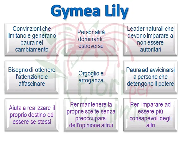 Schema riassuntivo dell'essenza