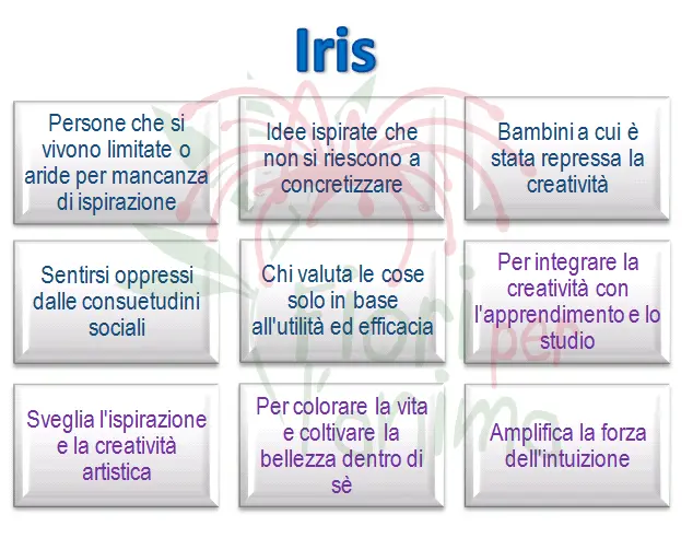 Schema riassuntivo dell'essenza