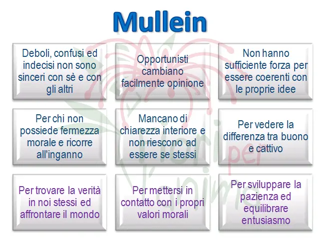 Schema riassuntivo dell'essenza