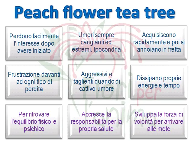 Schema riassuntivo dell'essenza