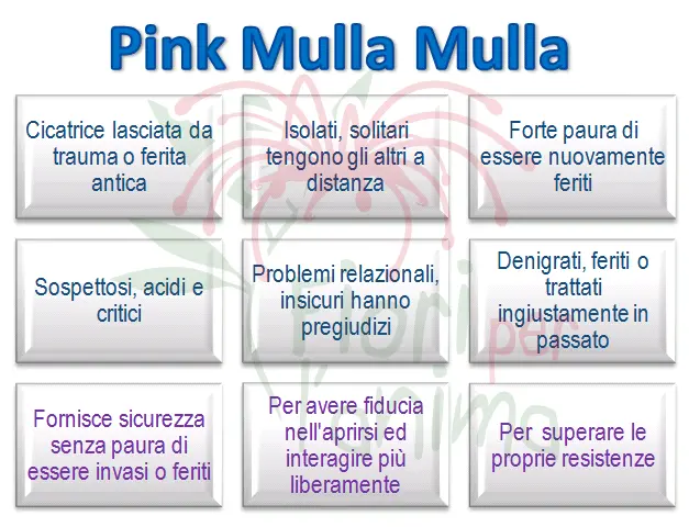 Schema riassuntivo dell'essenza
