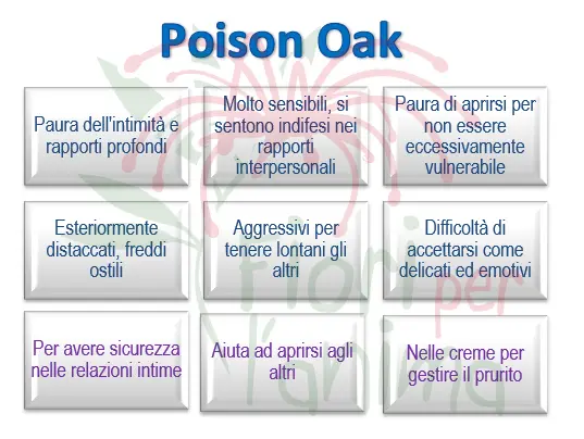 Schema riassuntivo dell'essenza