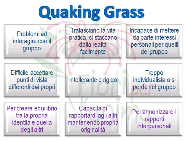 Schema riassuntivo dell'essenza