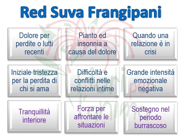 Red Suva Frangipani Schema riassuntivo dell'essenza