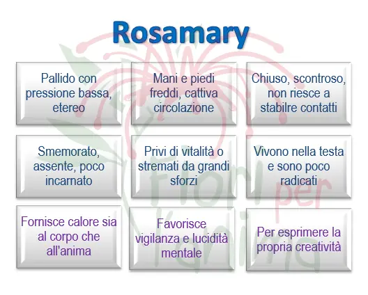 Schema riassuntivo dell'essenza