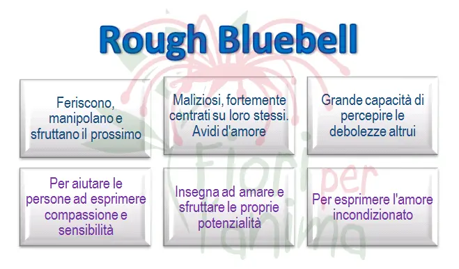 Schema riassuntivo dell'essenza