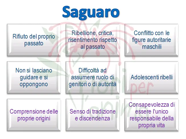 Schema riassuntivo dell'essenza