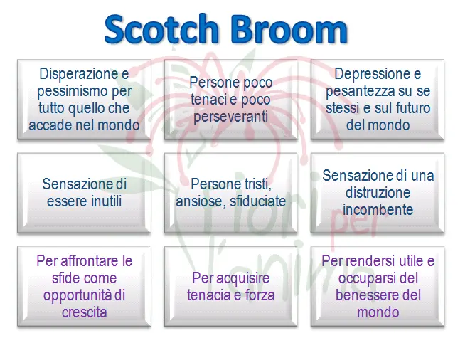 Schema riassuntivo dell'essenza