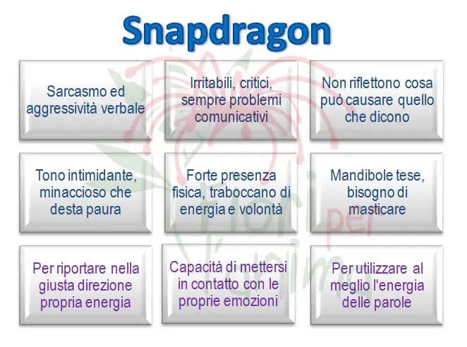 Schema riassuntivo dell'essenza