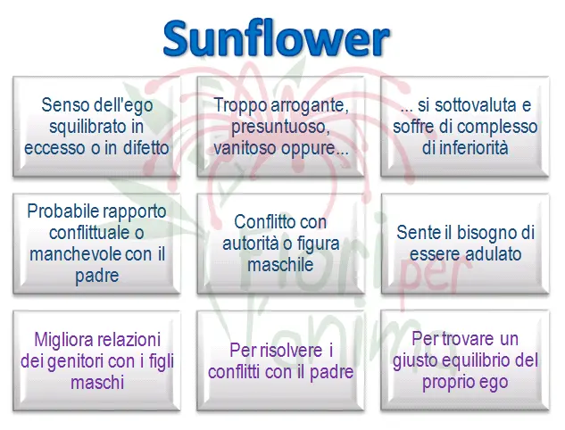 SUNFLOWER - Repertorio californiano Fes Schema riassuntivo dell'essenza