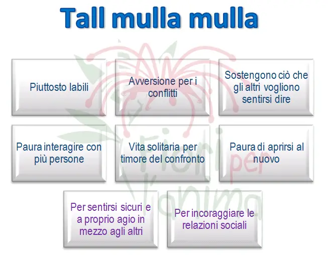 Schema riassuntivo dell'essenza
