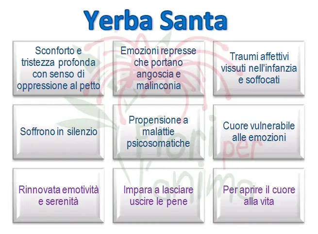 Yerba Santa Schema riassuntivo dell'essenza