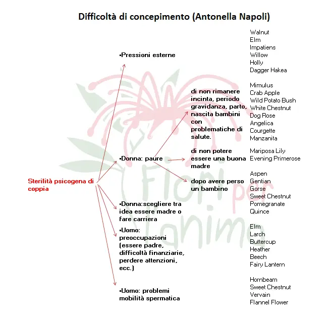 Difficoltà di concepimento (Antonella Napoli)