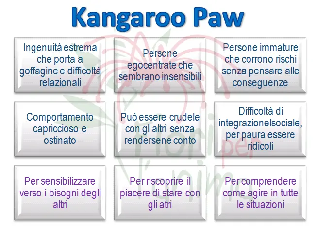 Schema riassuntivo dell'essenza