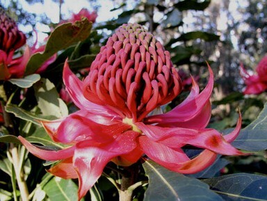 foto tratta da:http://www.flickr.com by petrichor